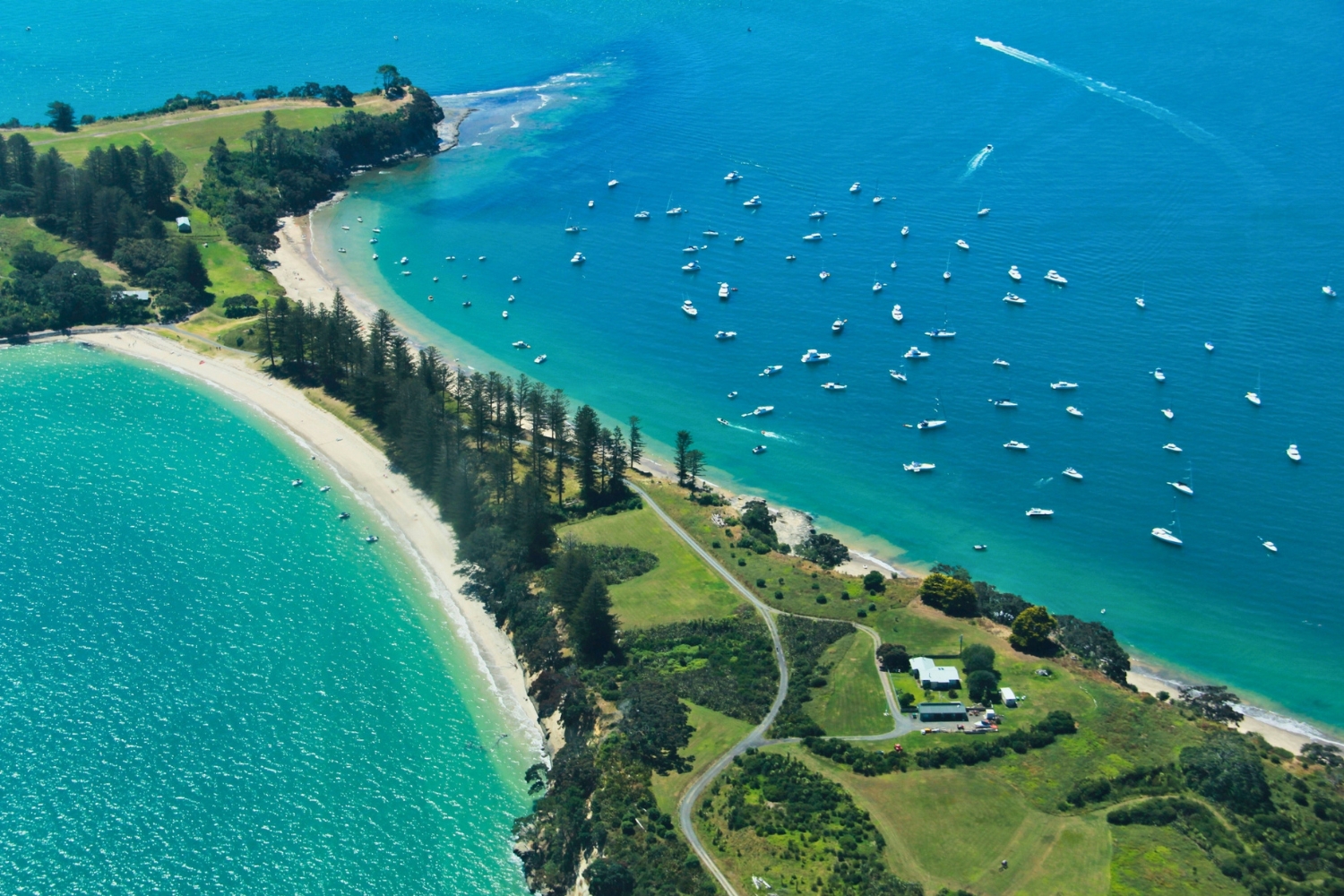 Great Barrier Island image