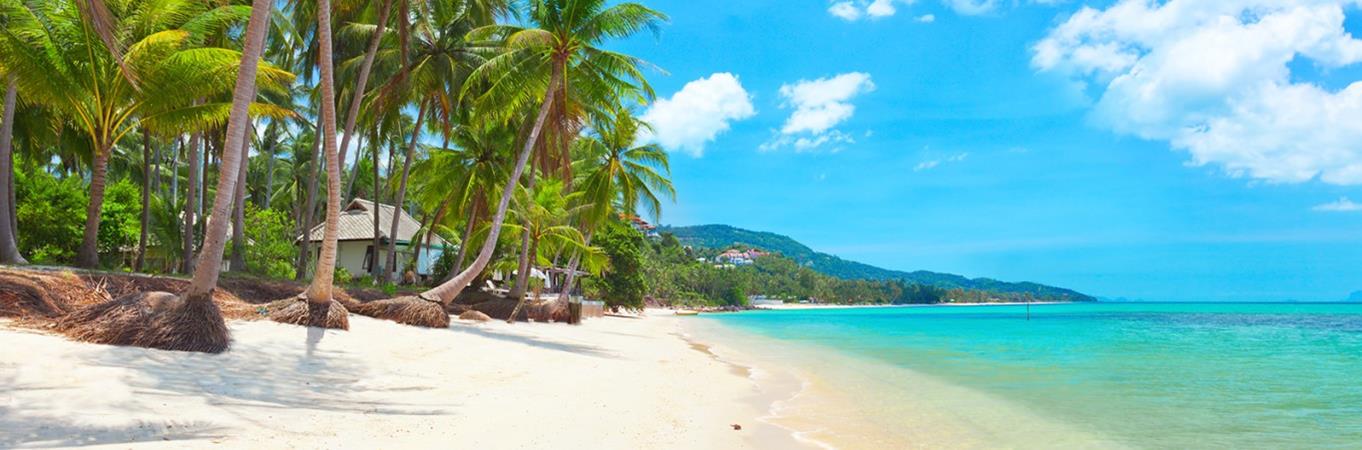 Koh Samui Island Stays image