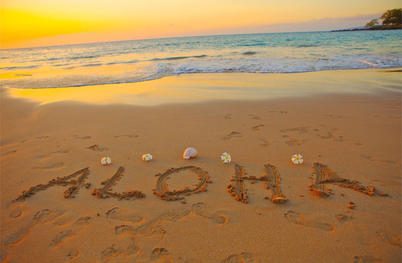 New Year Sale - Hawaii image