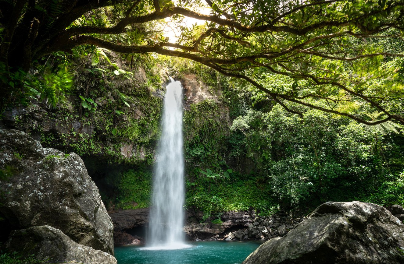 Savasi Island Resort image