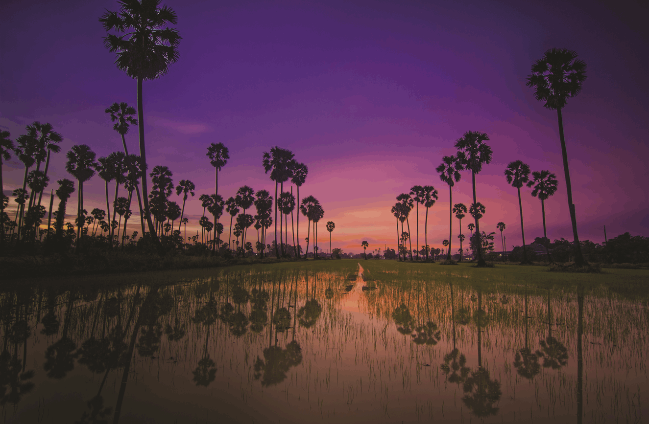 Indulgent Thailand image