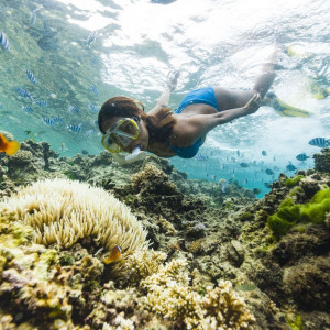 New Year Sale- Blue Lagoon Cruises