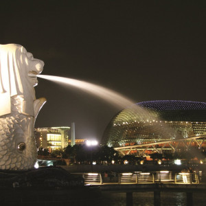 New Year Sale - Singapore