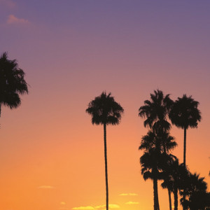 New Year Sale - Anaheim & Los Angeles