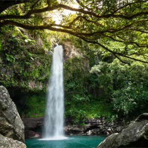 Savasi Island Resort